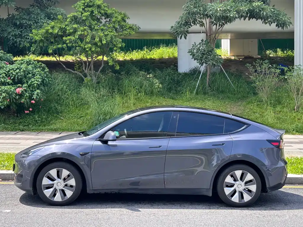 Tesla Model Y — фото 3