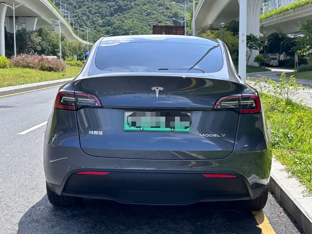 Tesla Model Y — фото 6