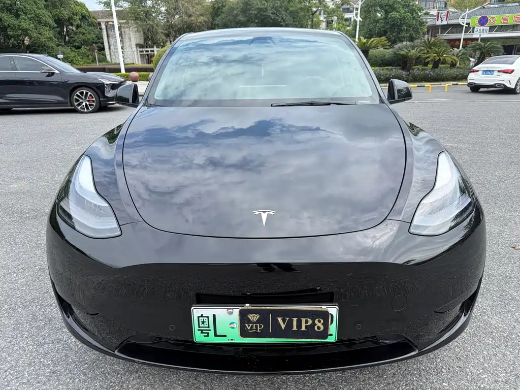 Tesla Model Y — фото 2