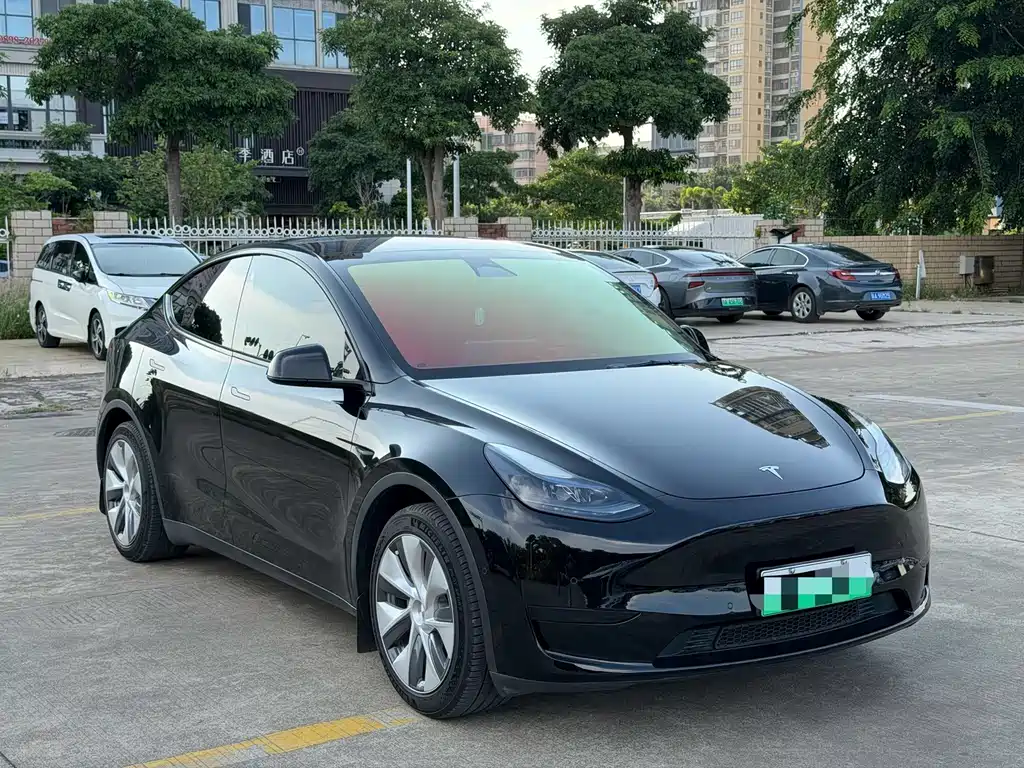 Tesla Model Y — фото 3