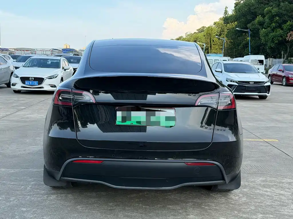 Tesla Model Y — фото 8