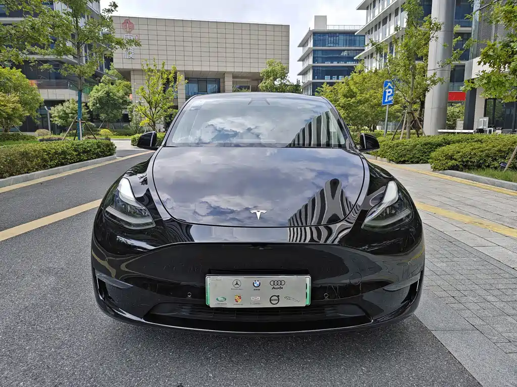 Tesla Model Y — фото 2