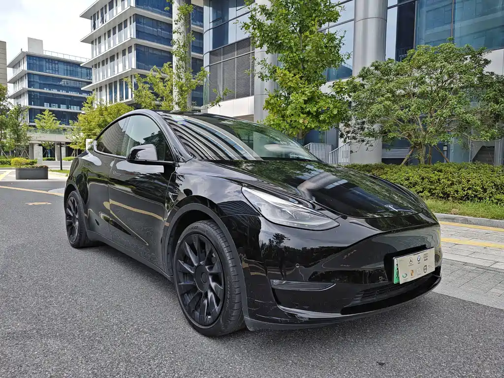 Tesla Model Y — фото 3