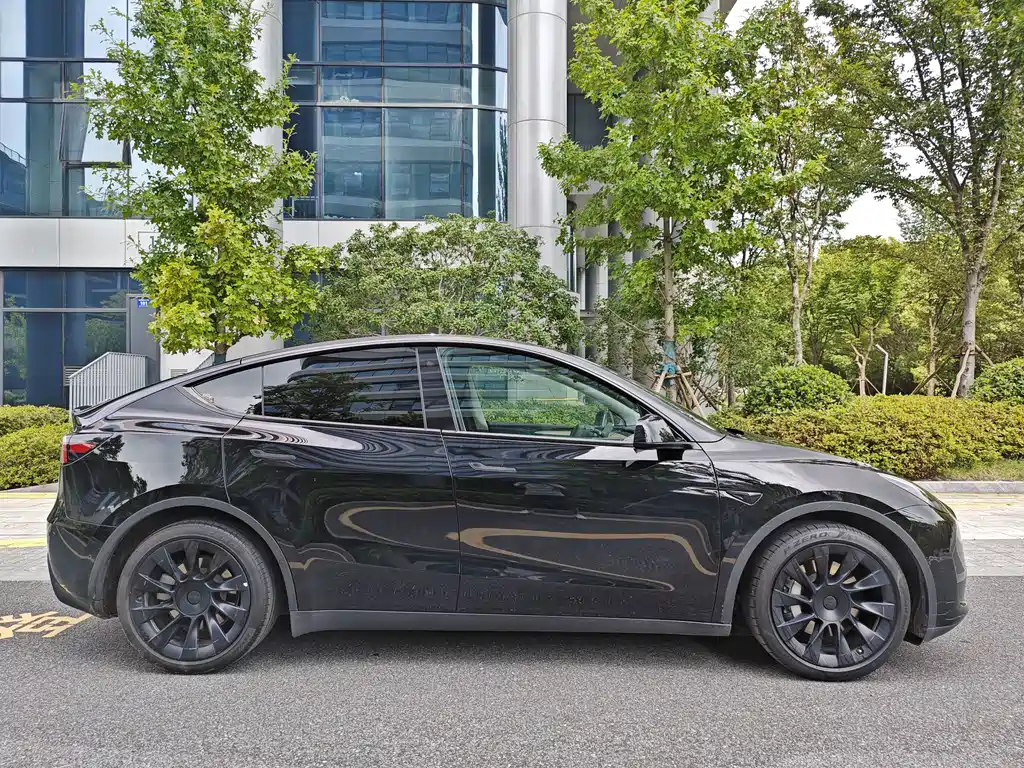 Tesla Model Y — фото 4