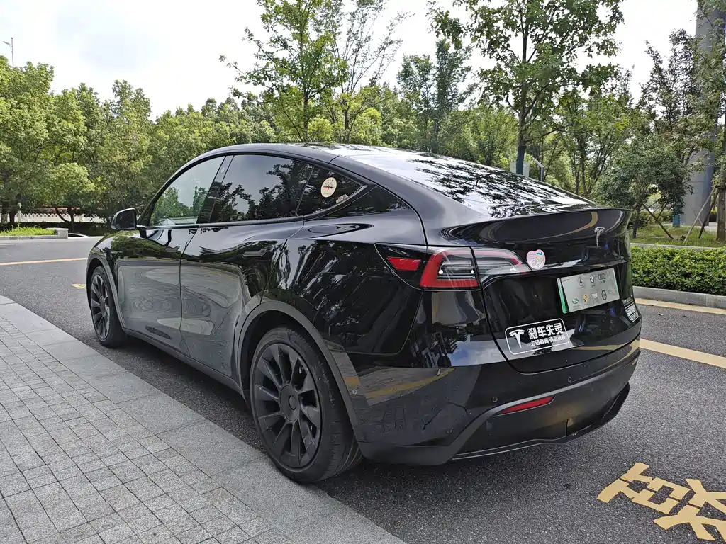 Tesla Model Y — фото 6