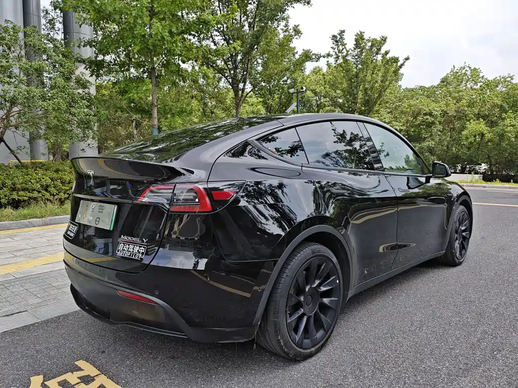 Tesla Model Y — фото 8