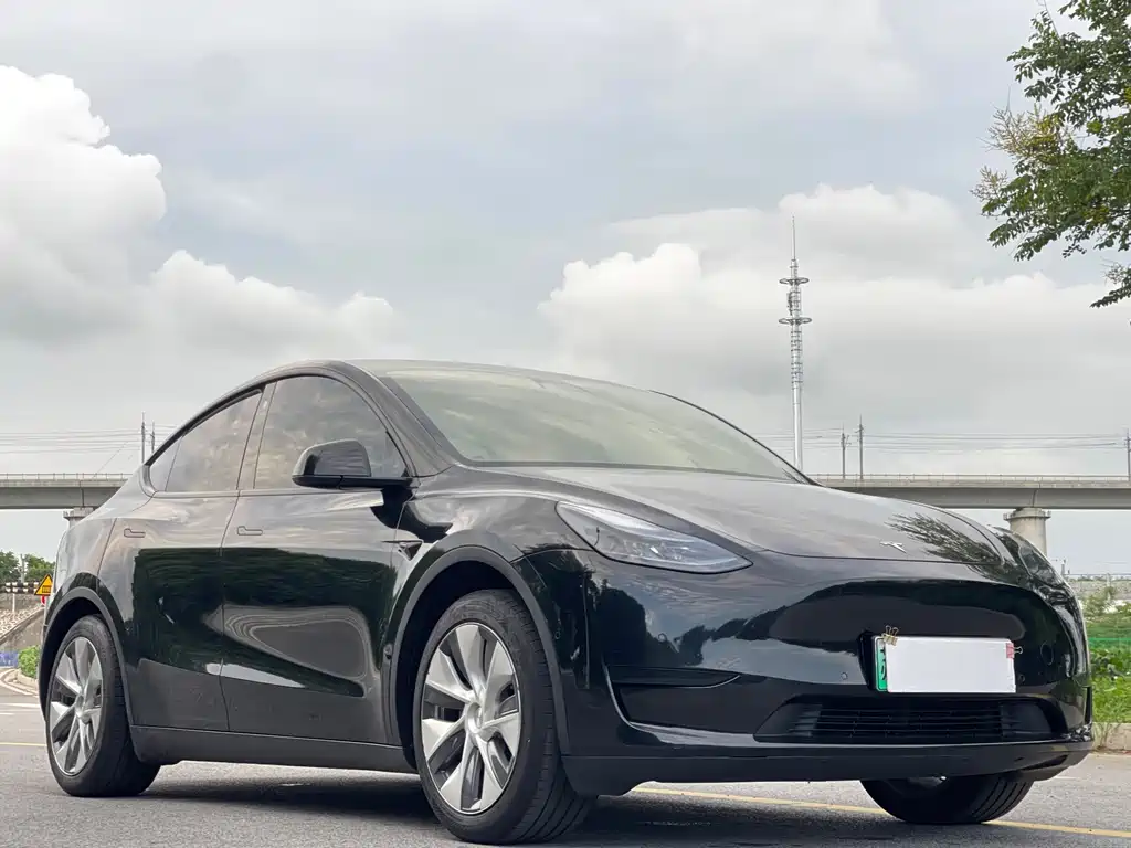 Tesla Model Y — фото 3