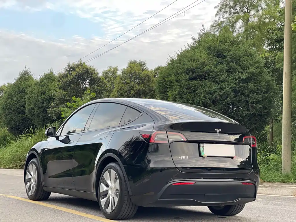 Tesla Model Y — фото 5