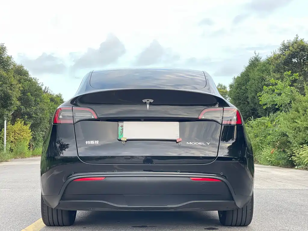 Tesla Model Y — фото 6