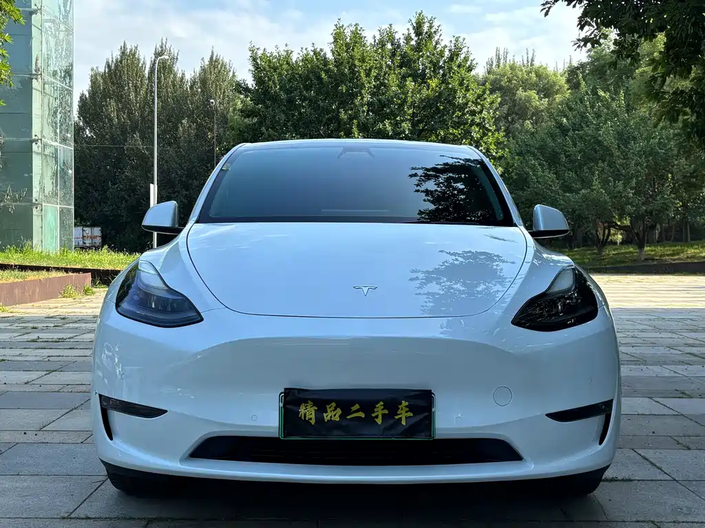 Tesla Model Y — фото 2