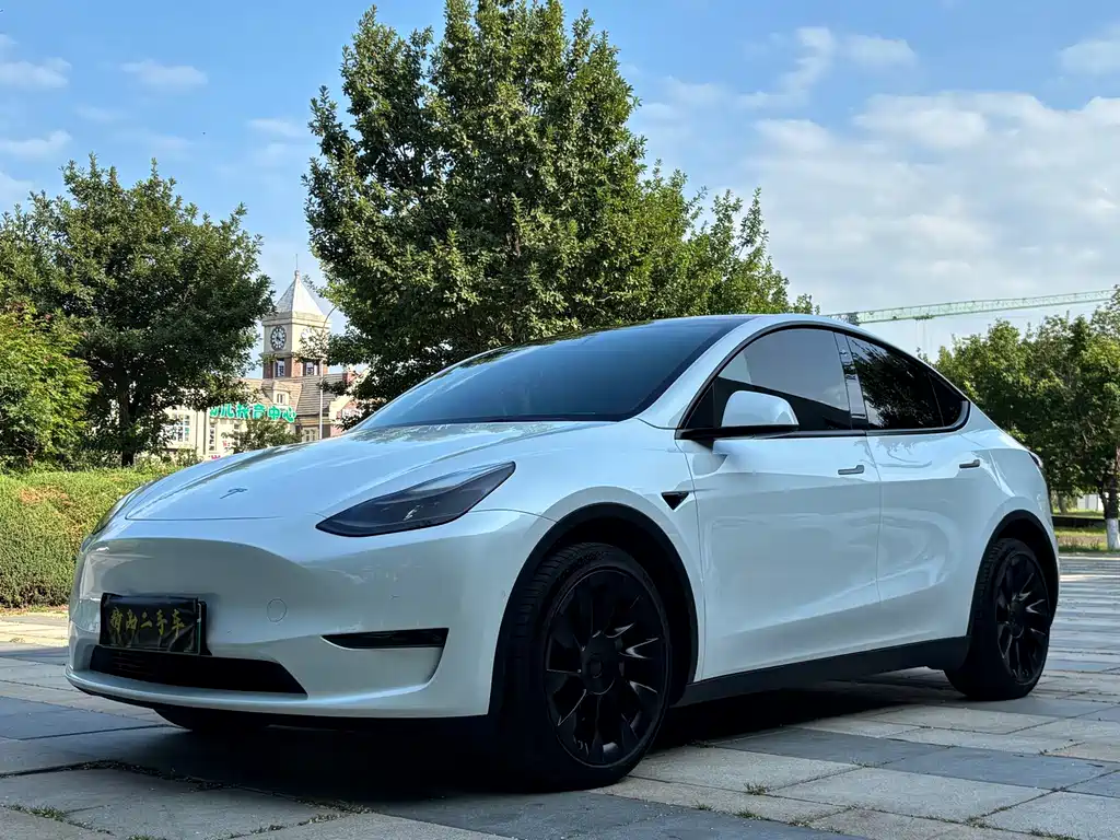 Tesla Model Y — фото 3