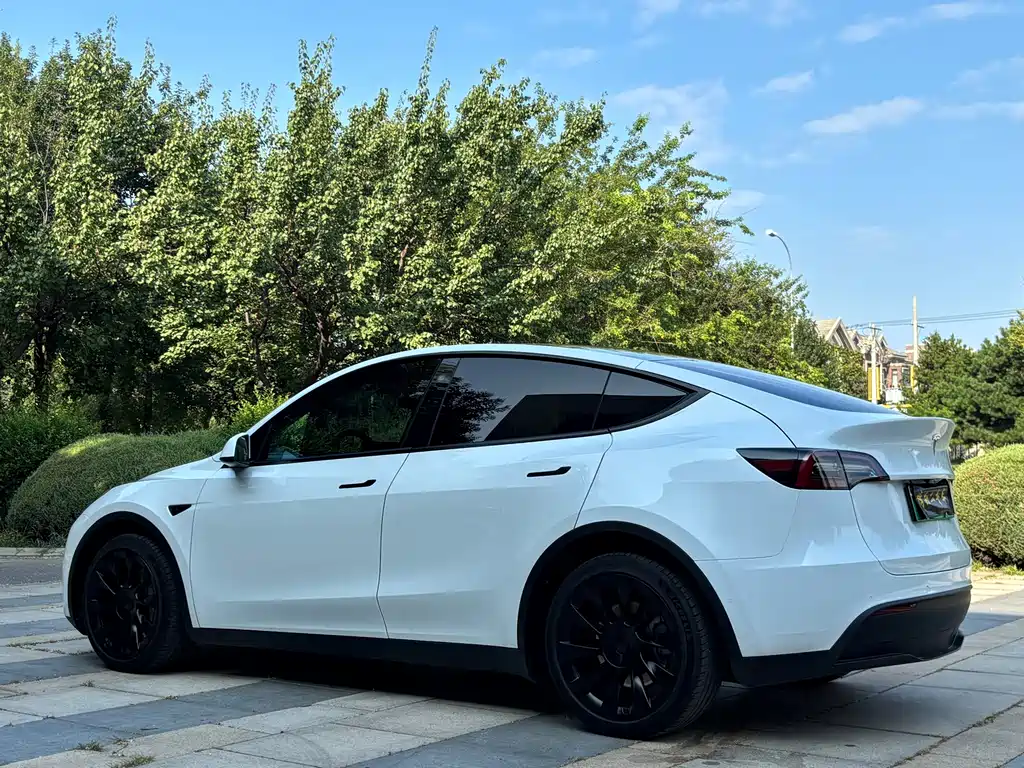 Tesla Model Y — фото 5