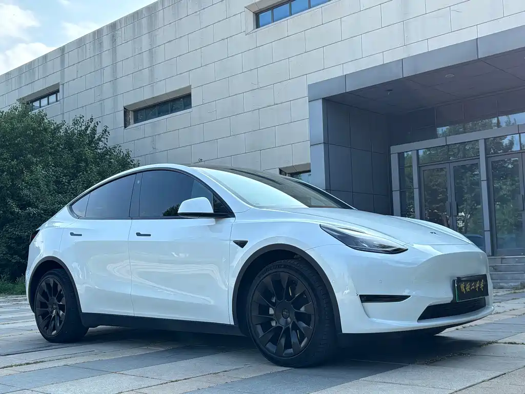 Tesla Model Y — фото 6