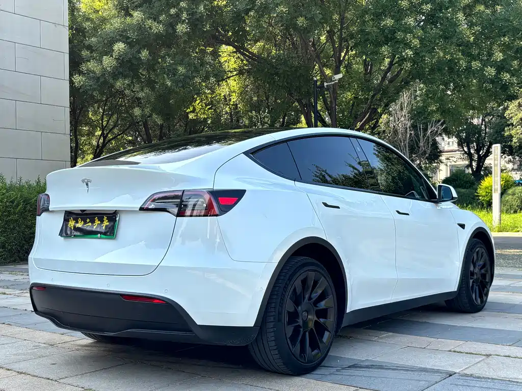 Tesla Model Y — фото 7