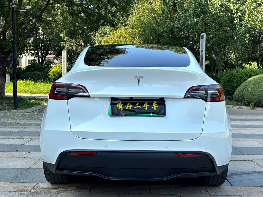 Tesla Model Y — фото 8