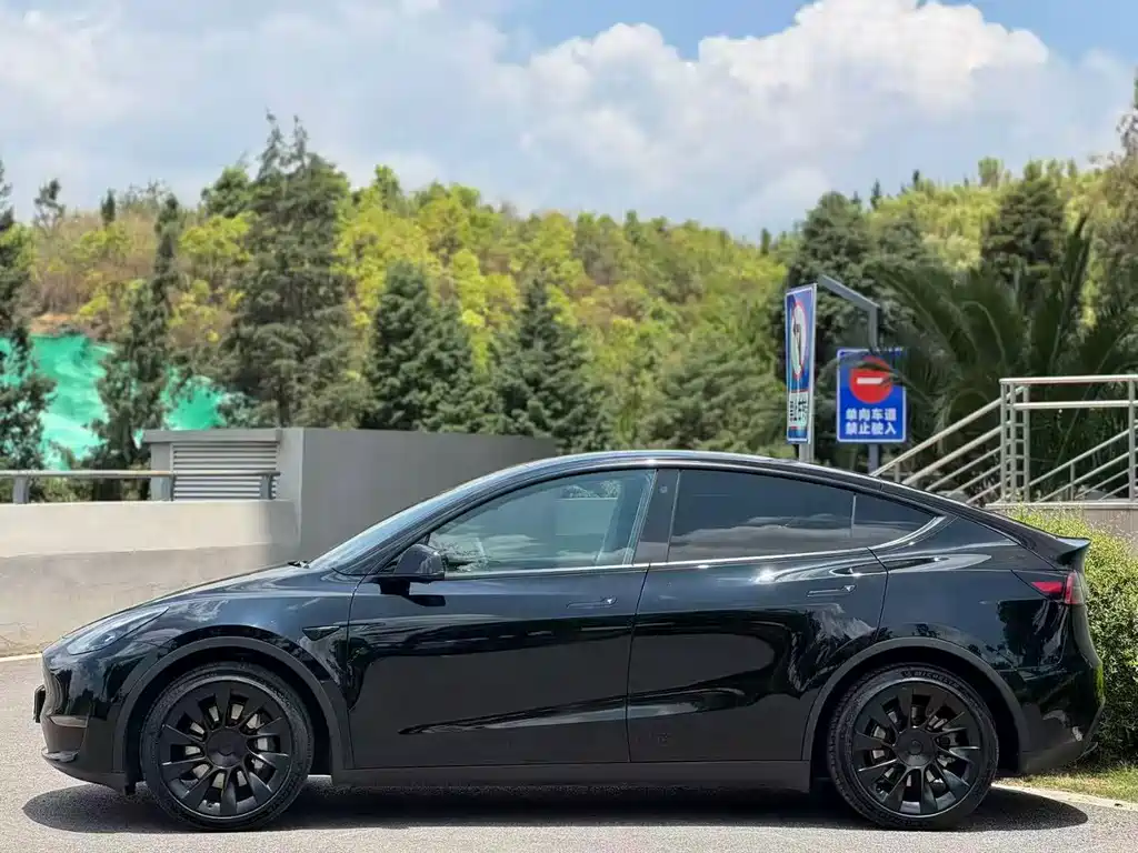 Tesla Model Y — фото 3