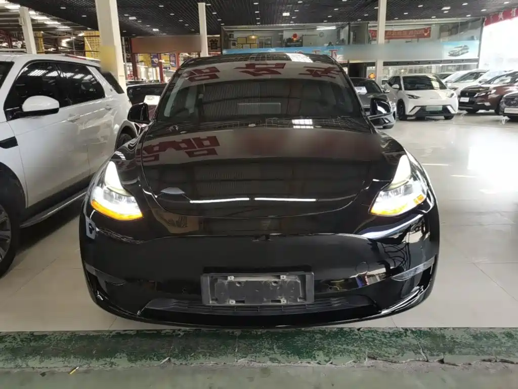 Tesla Model Y — фото 3