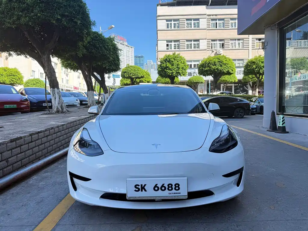 Tesla Model 3 — фото 2