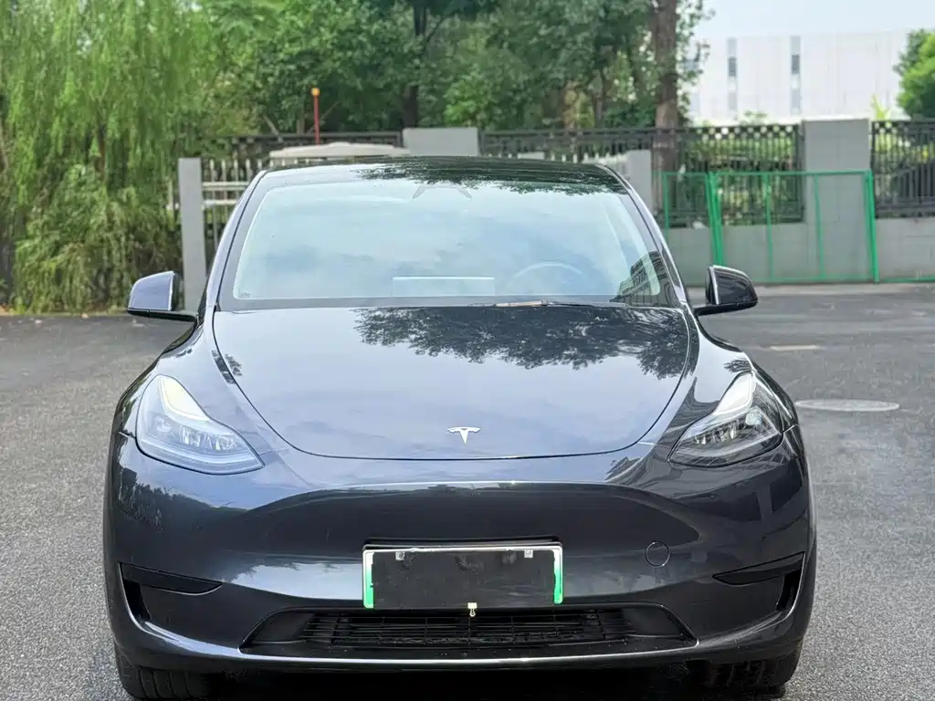 Tesla Model Y — фото 2