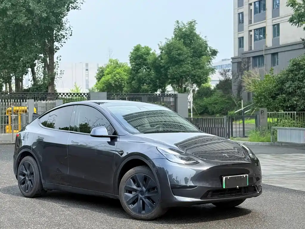 Tesla Model Y — фото 3