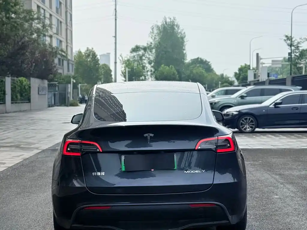 Tesla Model Y — фото 8