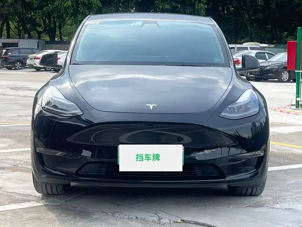 Tesla Model Y — фото 2