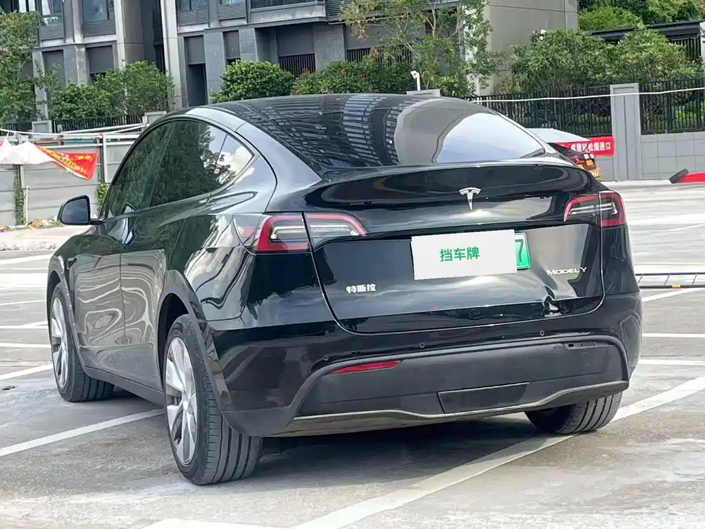 Tesla Model Y — фото 8