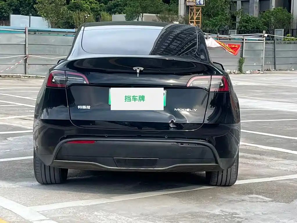 Tesla Model Y — фото 10