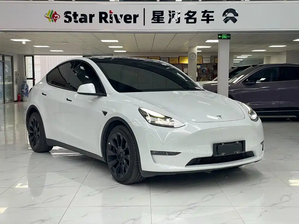 Tesla Model Y — фото 3