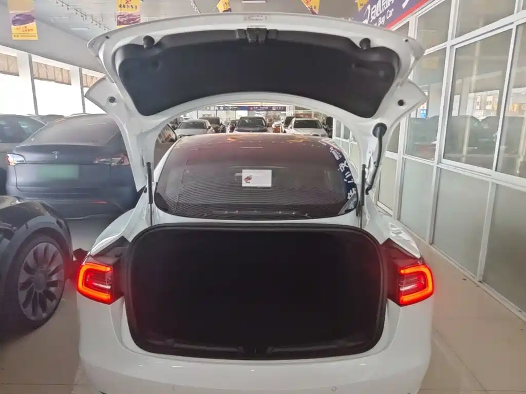 Tesla Model 3 — фото 19
