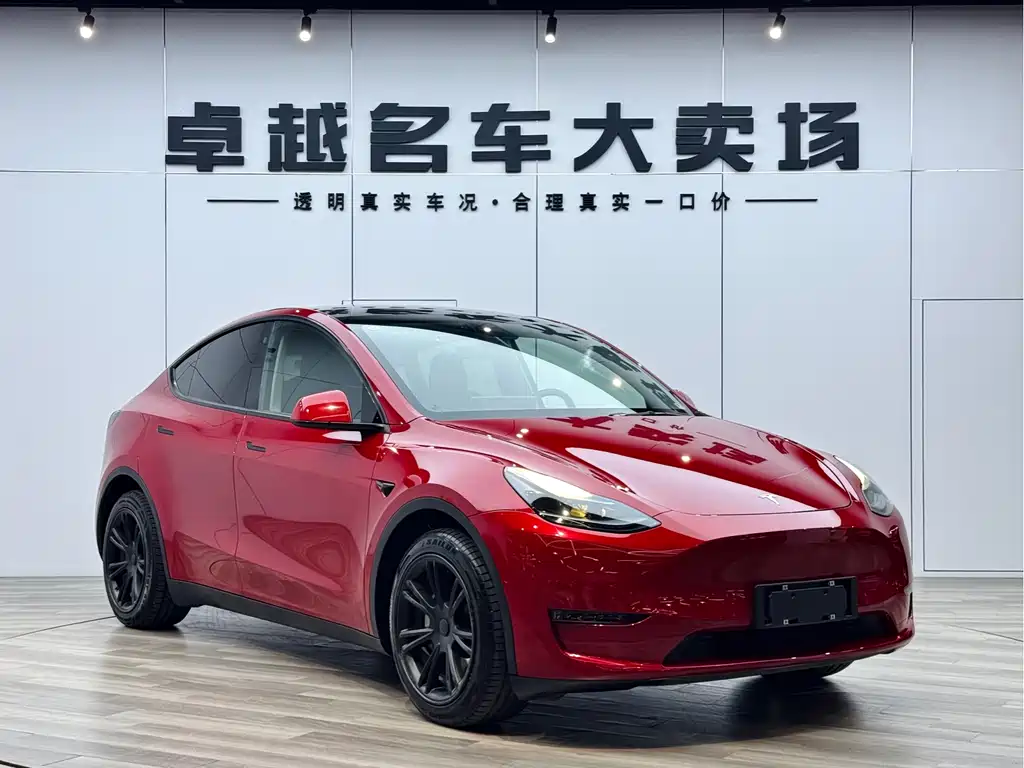 Tesla Model Y — фото 3