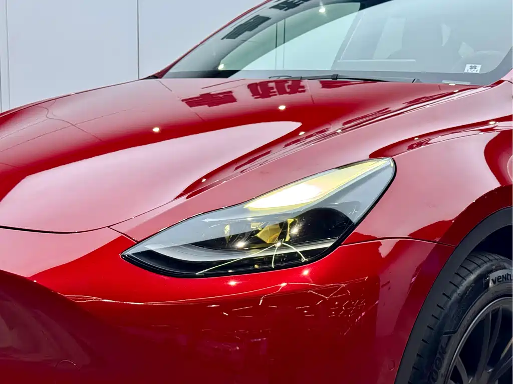 Tesla Model Y — фото 23