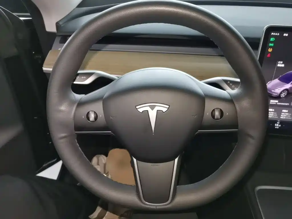 Tesla Model Y — фото 11
