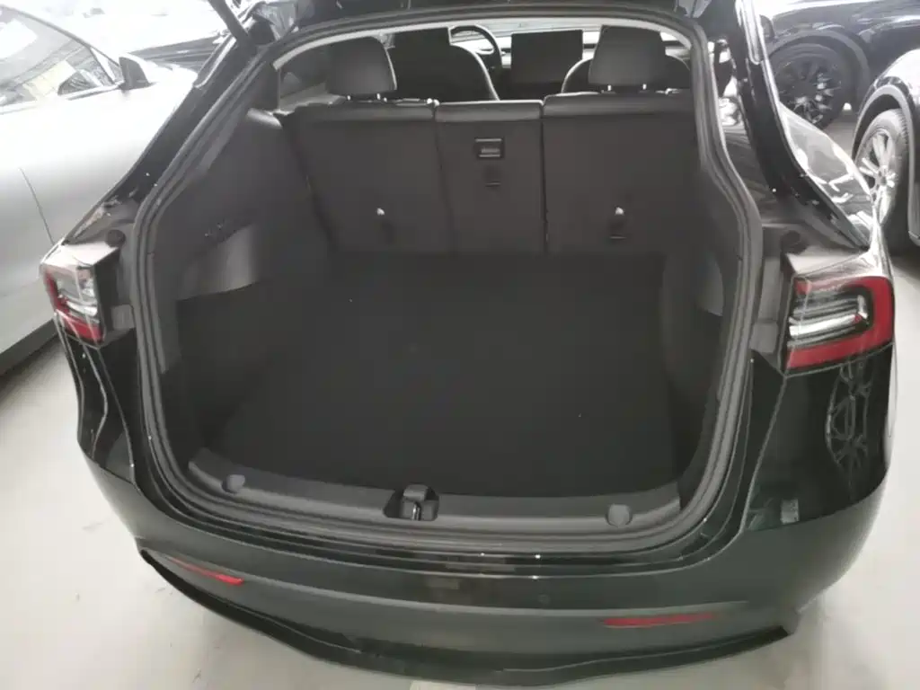 Tesla Model Y — фото 19