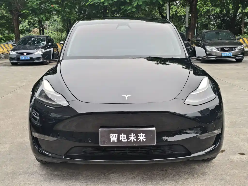 Tesla Model Y — фото 2