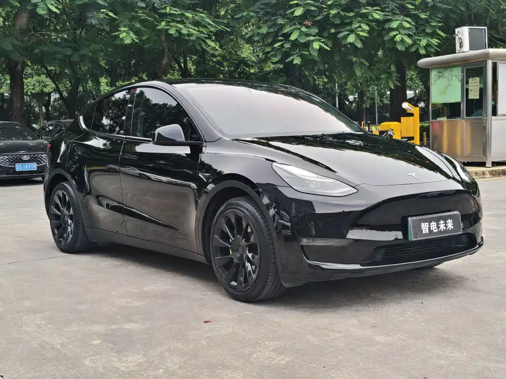 Tesla Model Y — фото 3