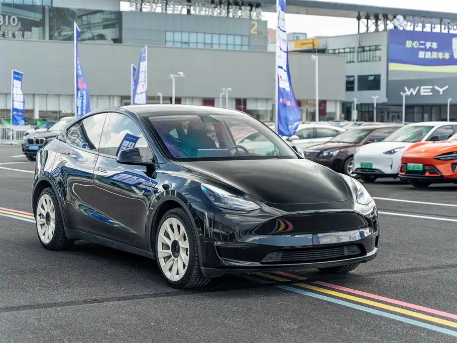 Tesla Model Y — фото 3