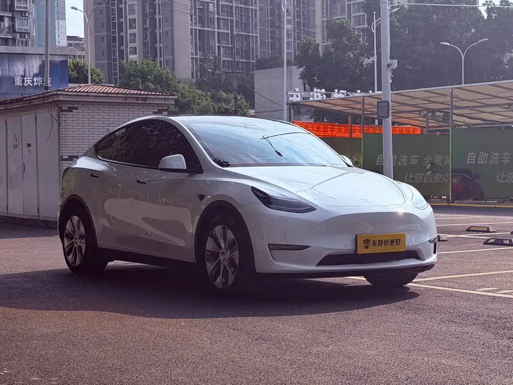 Tesla Model Y — фото 3