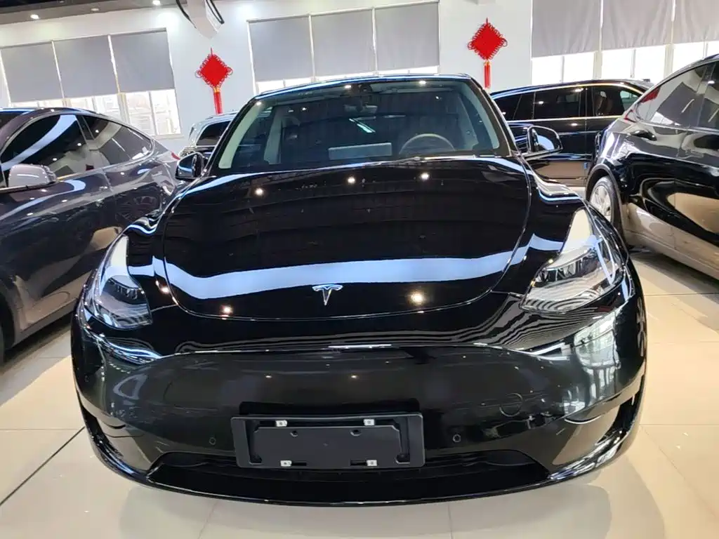 Tesla Model Y — фото 3