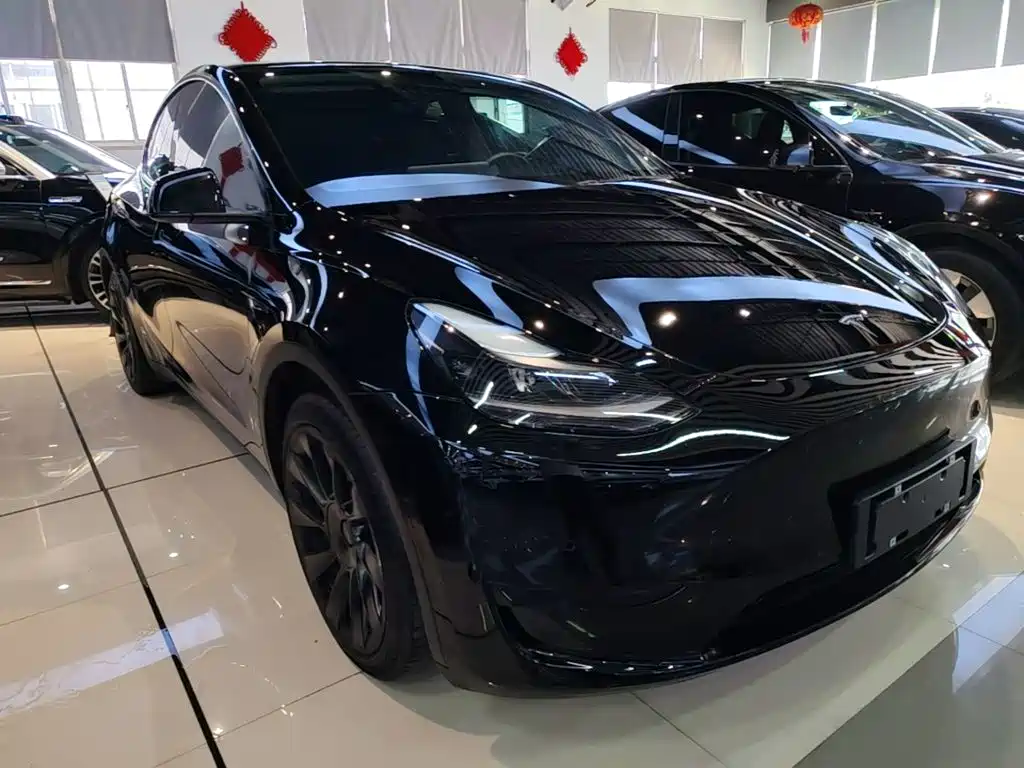Tesla Model Y — фото 4