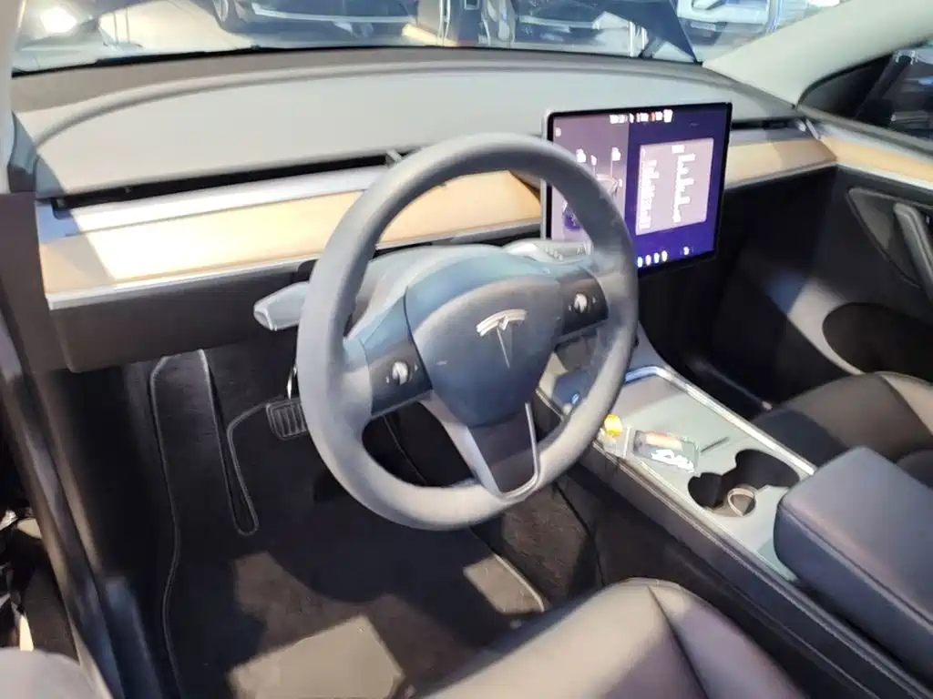 Tesla Model Y — фото 10