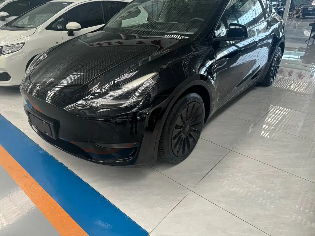 Tesla Model Y — фото 3