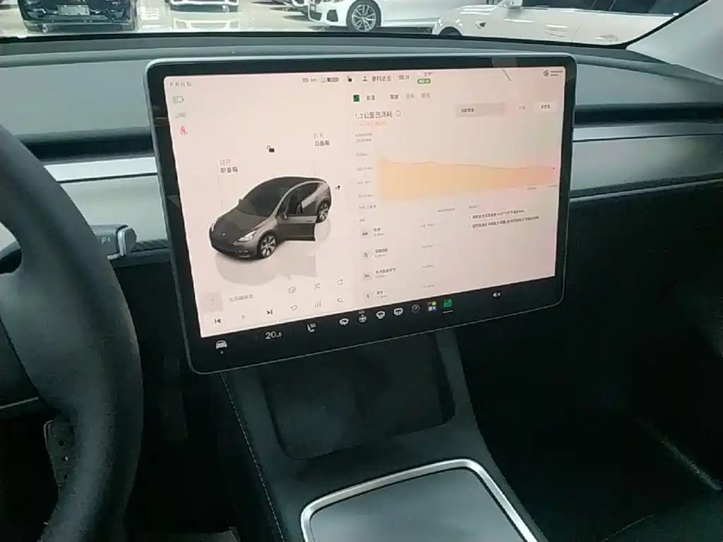 Tesla Model Y — фото 13