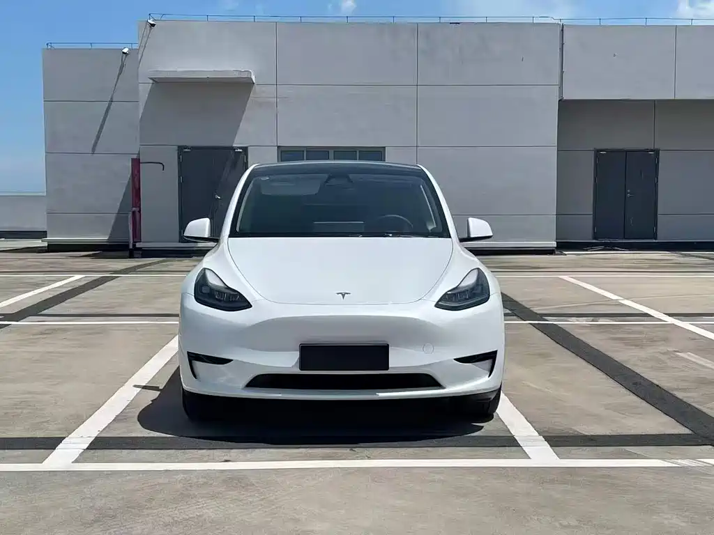 Tesla Model Y — фото 2