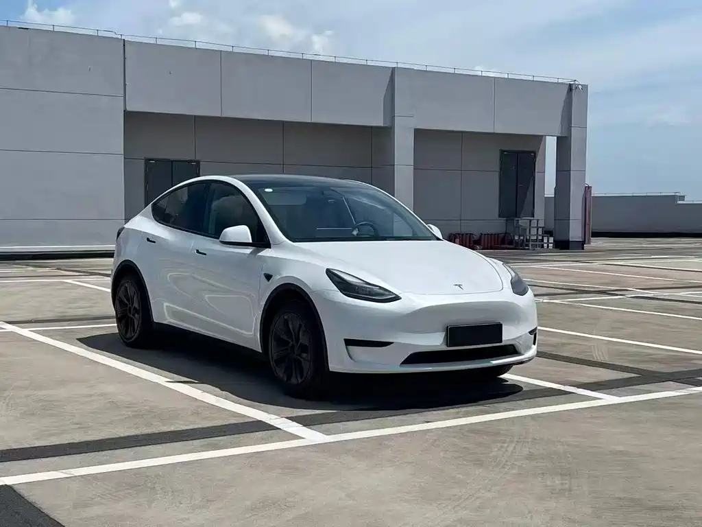 Tesla Model Y — фото 3