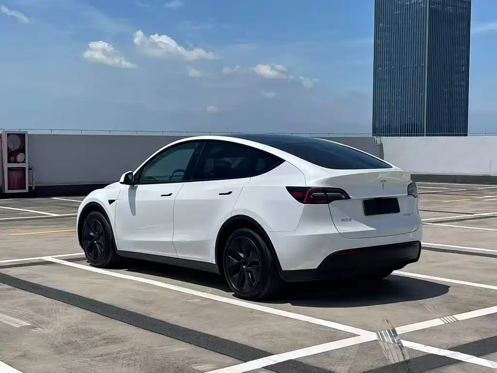 Tesla Model Y — фото 5