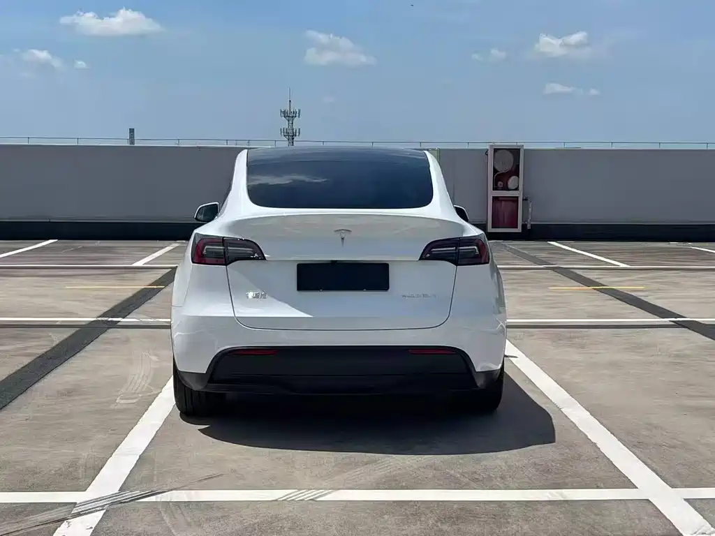 Tesla Model Y — фото 6