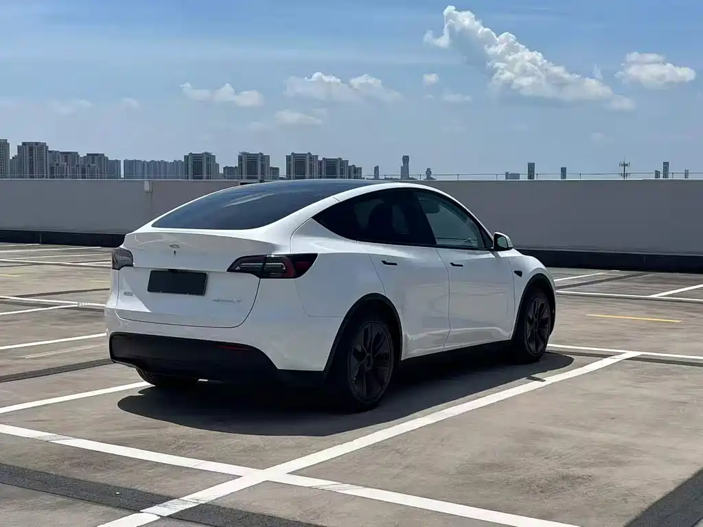 Tesla Model Y — фото 7