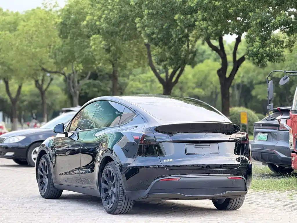 Tesla Model Y — фото 3