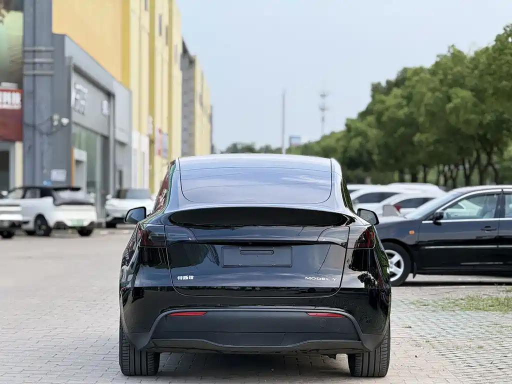 Tesla Model Y — фото 4